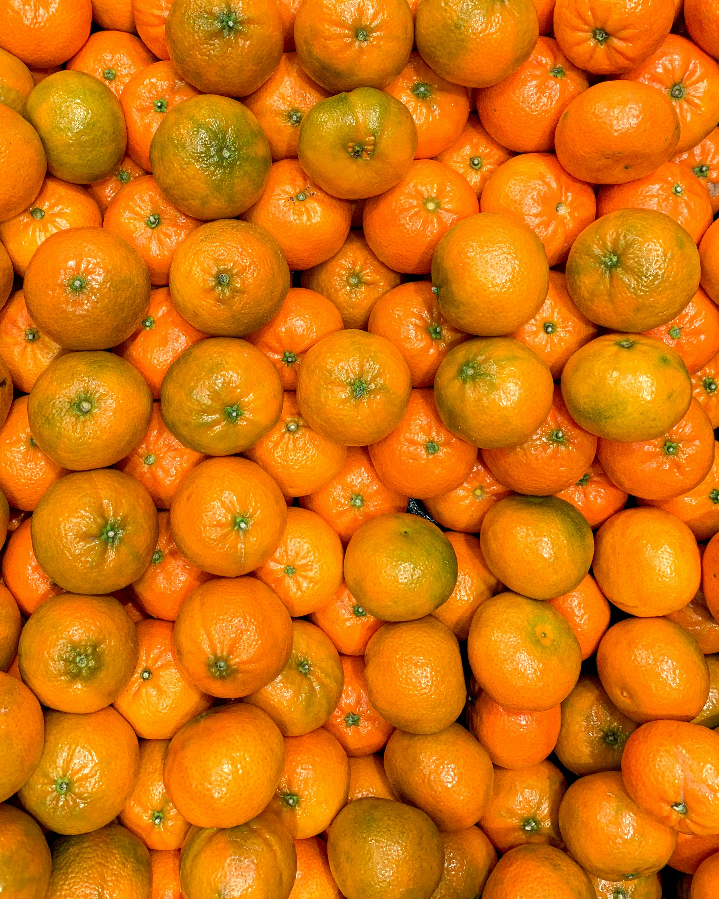 Mandarina